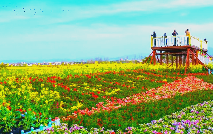 花海景区票务智能升级｜人脸通行检票系统提升游客体验