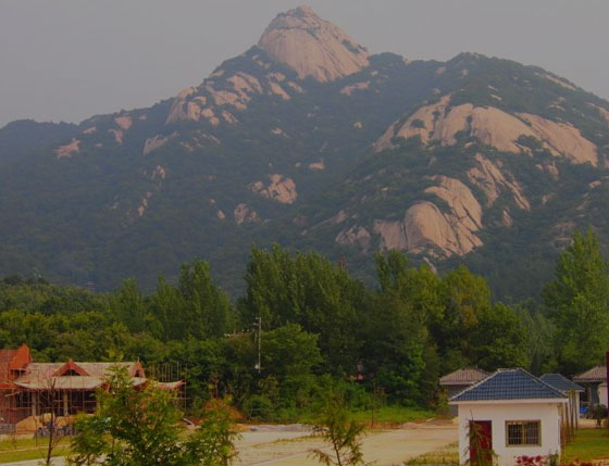 极悦注册景区解决方案 