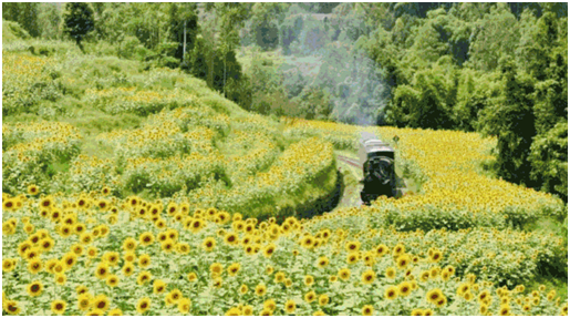 极悦注册助力景区上线智慧票务系统