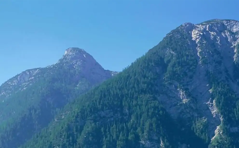 1650612069239933.png image.png