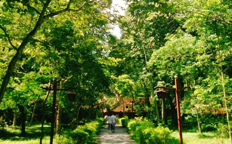 1650790097108190.png image.png