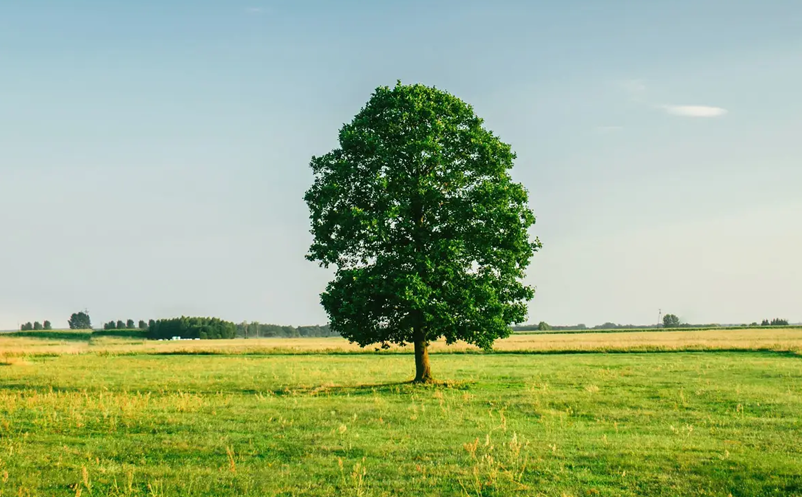 1650866416669649.png image.png