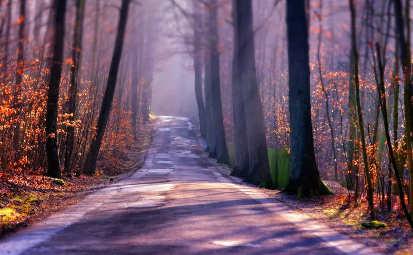 1650867037997016.png image.png