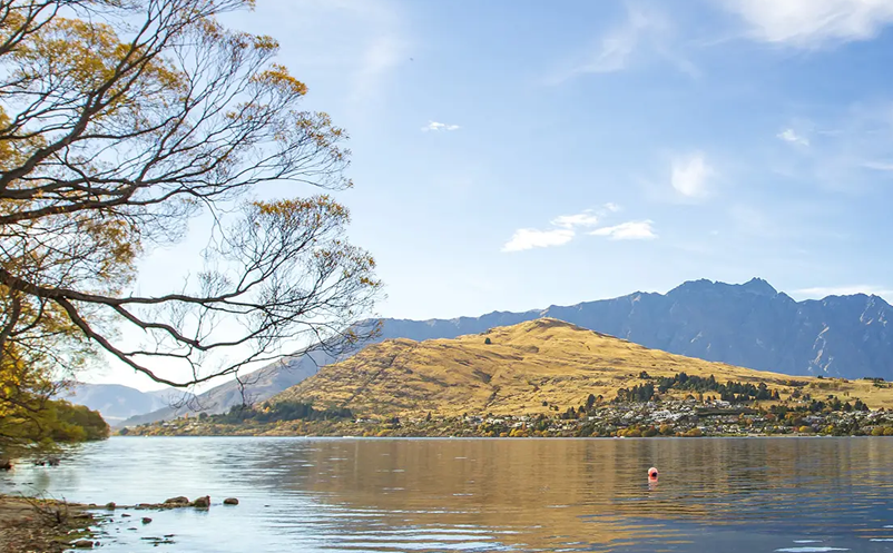 1650867169275626.png image.png