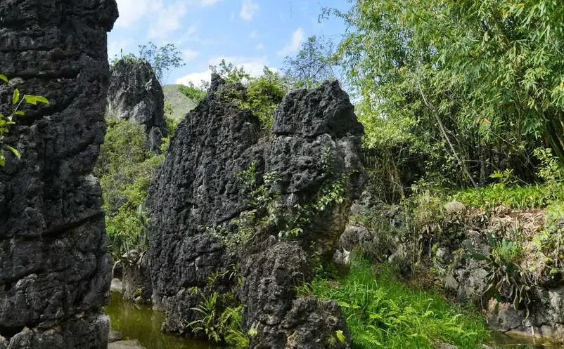 1654065823865863.png image.png