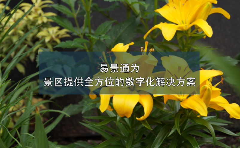 极悦注册为景区提供全方位的数字化解决方案