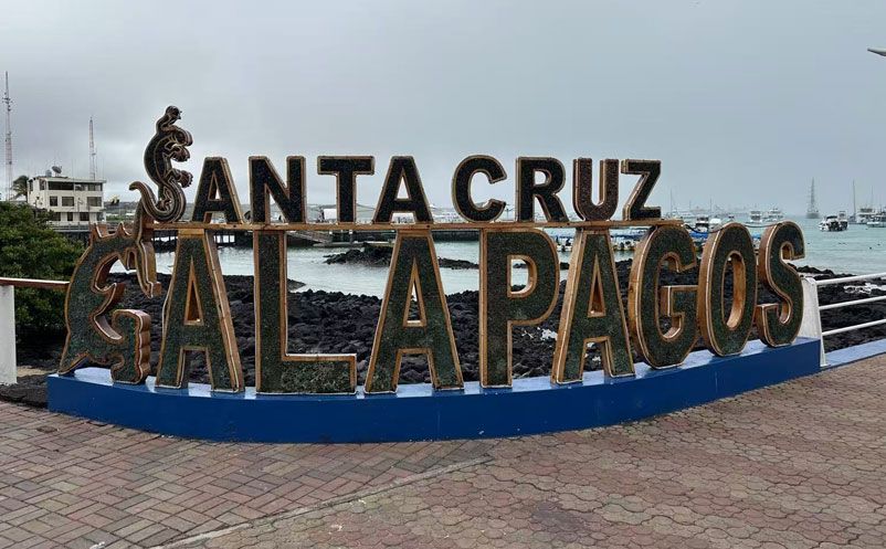 1753667873157780.jpg 11.jpg