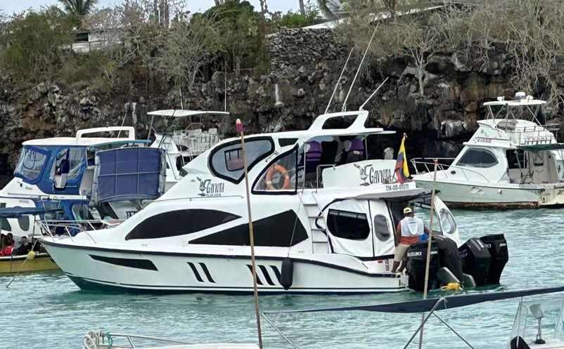 1753667881326551.jpg 2.jpg