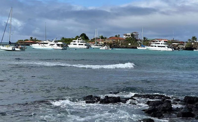 1753667901634132.jpg 3.jpg