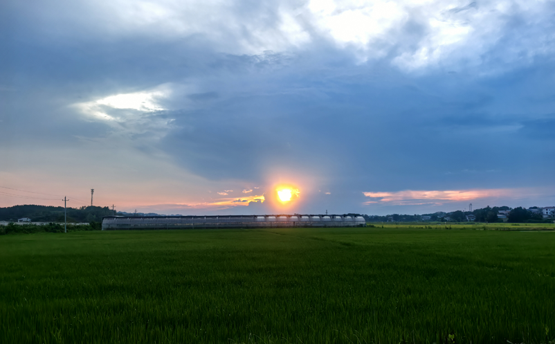 1756455141891832.png image.png