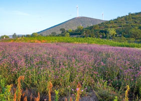 极悦票务系统和西山花海景区达成合作协议