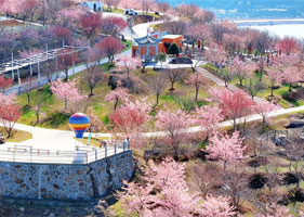 极悦票务系统和桐浦樱花谷达成合作协议